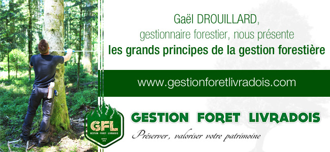 Gaël DROUILLARD, gestionnaire forestier, nous présente les grands principes de la gestion forestière