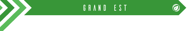 Grand Est
