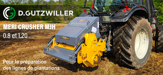 Nouveau Modèle chez GUTZWILLER