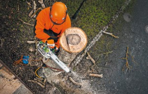 Stihl MS 201 TC-M