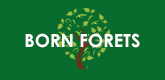 – BORN FORETS –
